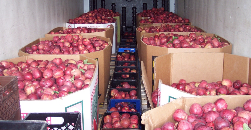 boxes of apples in storage