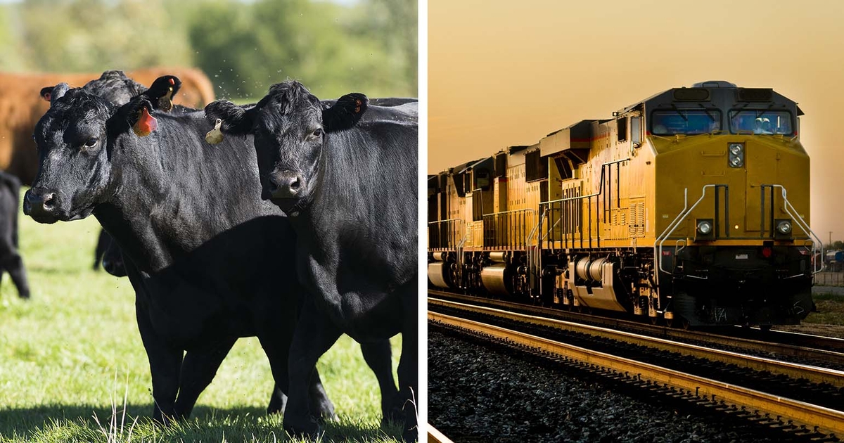 Talking beef prices and rail logistics