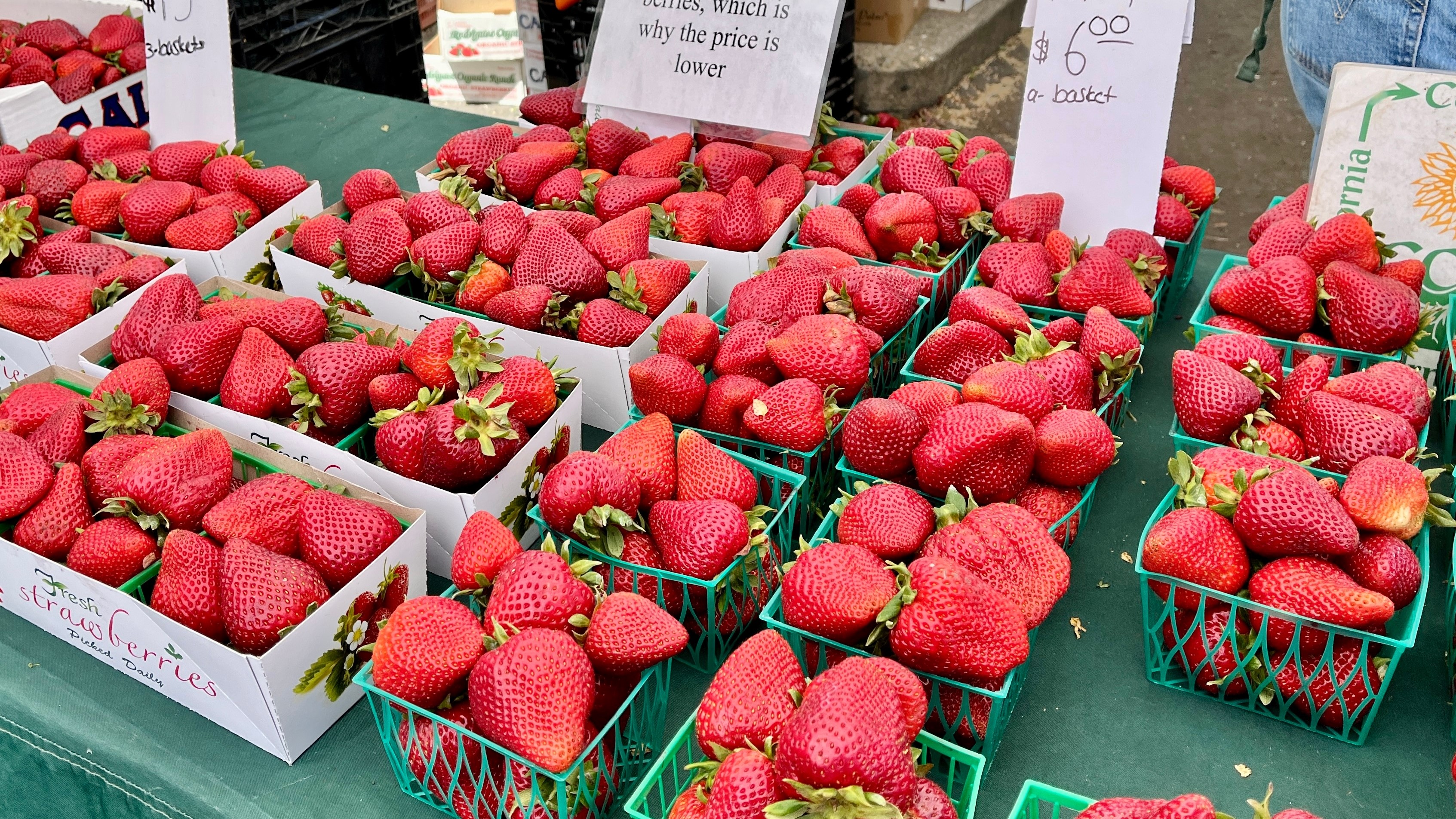 UC study examines organic strawberry costs