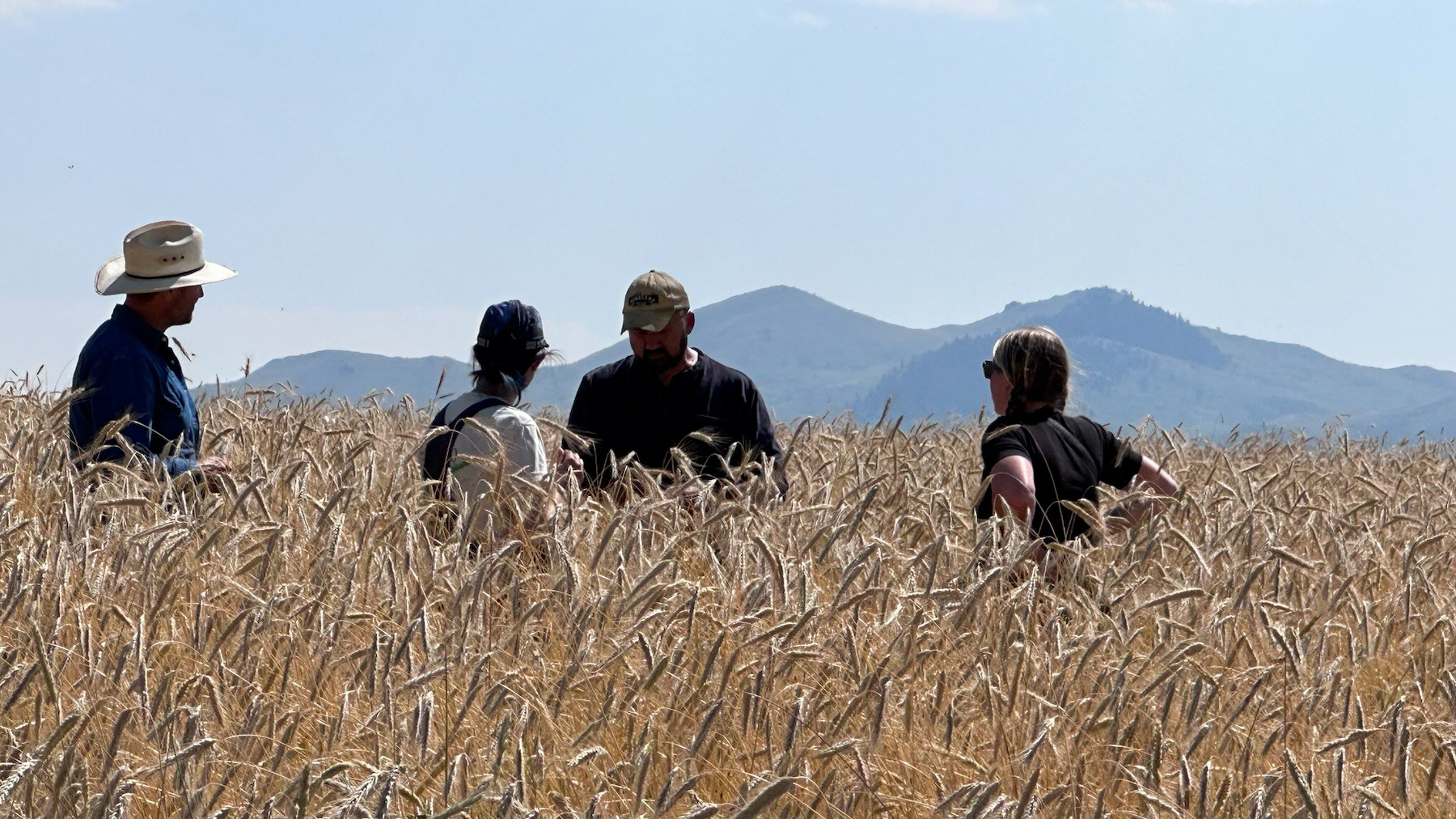 Their journey was propelled through the connections and network of the Montana Organics Association
