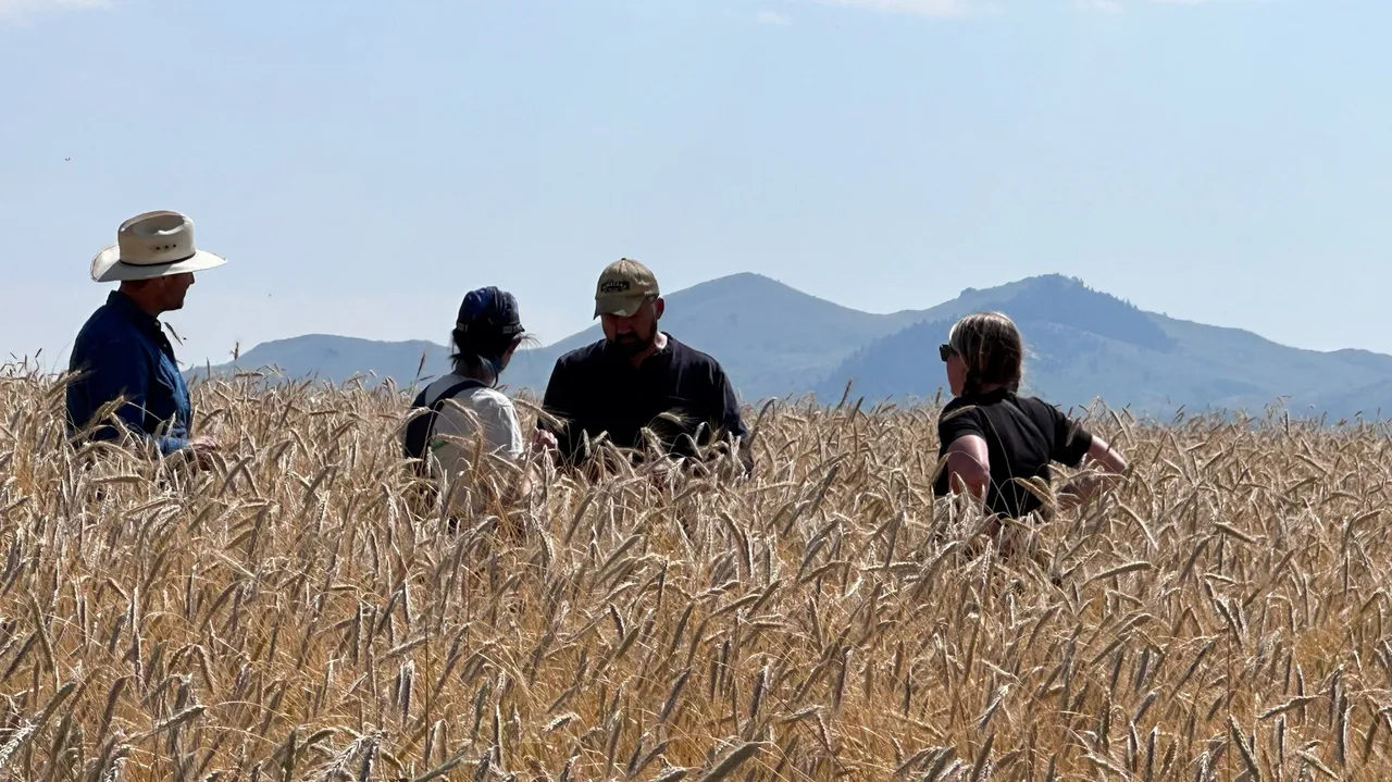 Their journey was propelled through the connections and network of the Montana Organics Association