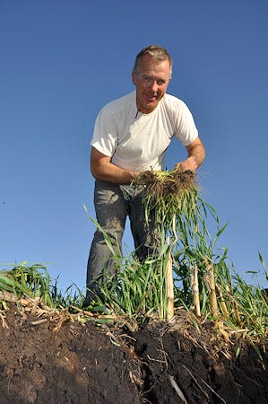 strategy_cover_crops_2_634968677065964000.jpg
