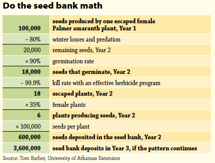 palmer-amaranth-seed-bank-math.png palmer-amaranth-seed-bank-math.png