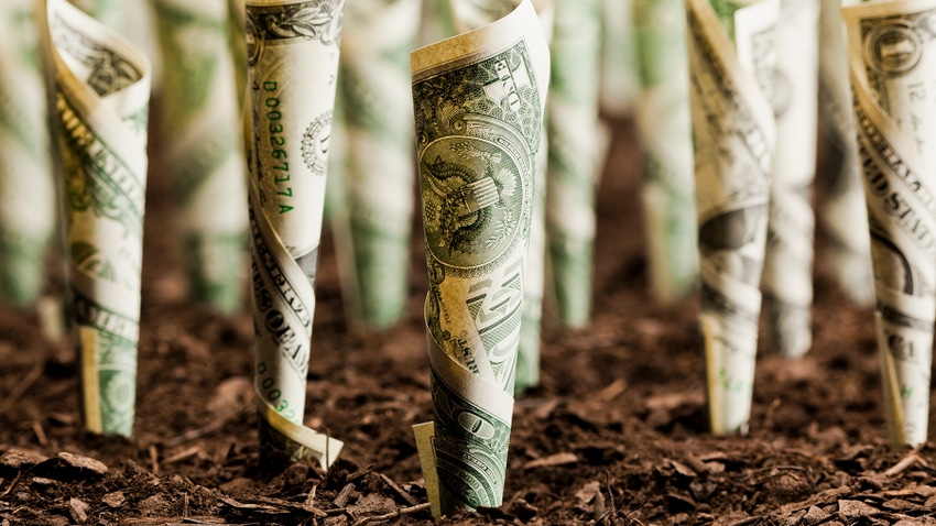 Rolls of dollar bills planted on soil as investment Rolls of dollar bills planted on soil as investment
