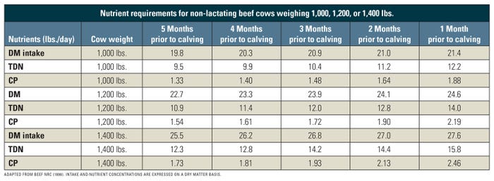 Table shows nutrient requirements for non-lactating beef cows weighing 1,000, 1,200, or 1,400 lbs.