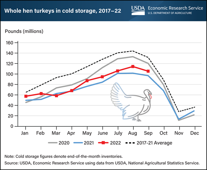 Whole turkeys in cold storage