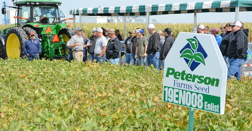 attendees at a field day observe Peterson Farms Seed soybean plot