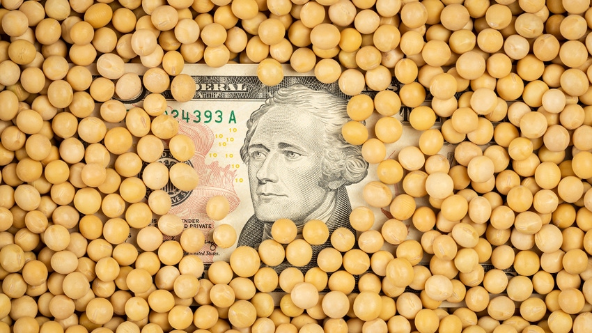 Money with soybeans covering it