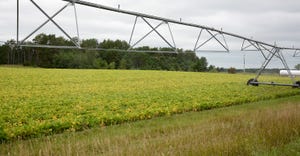 irrigation system in soybeans