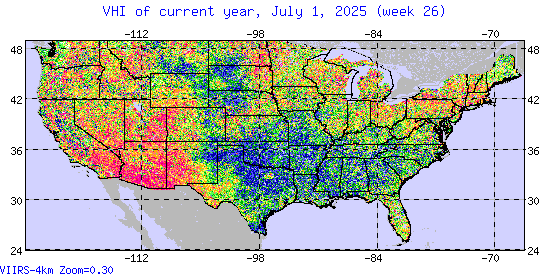 Vegetative health index of current year, July 1, 2025, week 26VHIWek26.png
