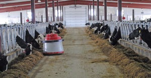 Dairy barn with robotic feed pushers