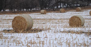 Bales of hay and snowed covered field