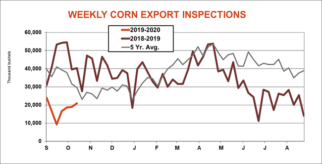 weekly corn export inspections