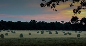 Round-Bales-at-sunset_web.jpg