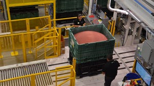 Workers in a seed production facility