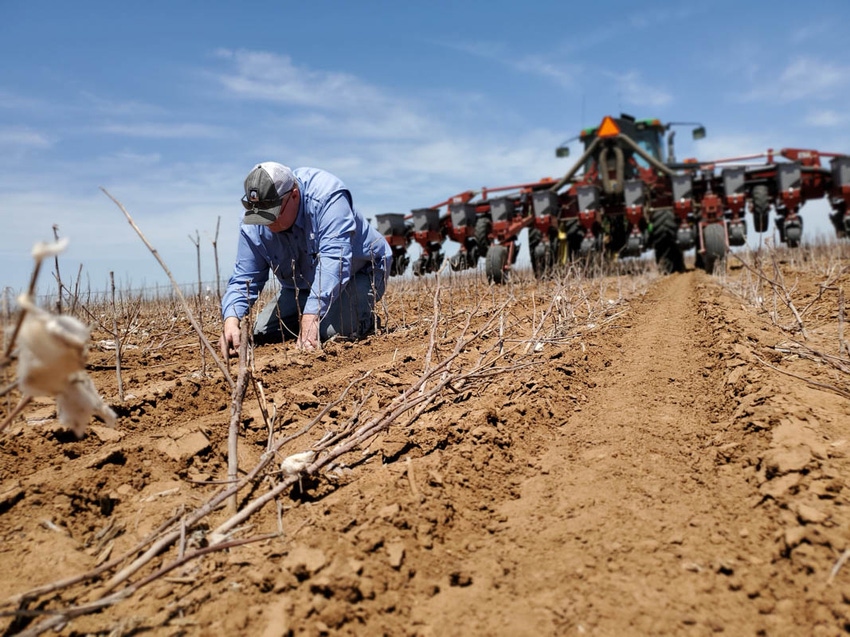 SWFP-SHELLEY-HUGULEY-planting-cotton-19-132542.jpg