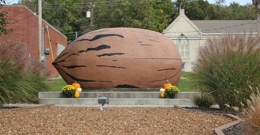 monument the shape of a pecan as a tribute to native pecan industry, Brunswick, Mo.