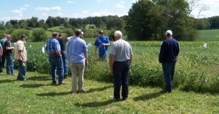 Farmers learn about cover crops at the Thiele Dairy Farm in Butler County, Pa., at a field day