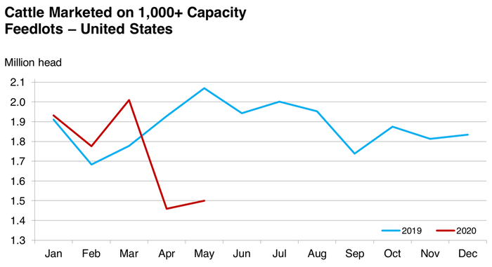 Cattle Marketed on 1,000+ Capacity Feedlots – United States