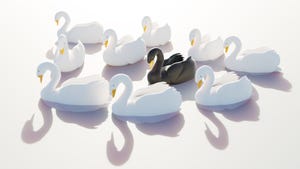 Illustration of black swan in the middle of group of white swans