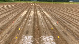 Field Trial Field Trial