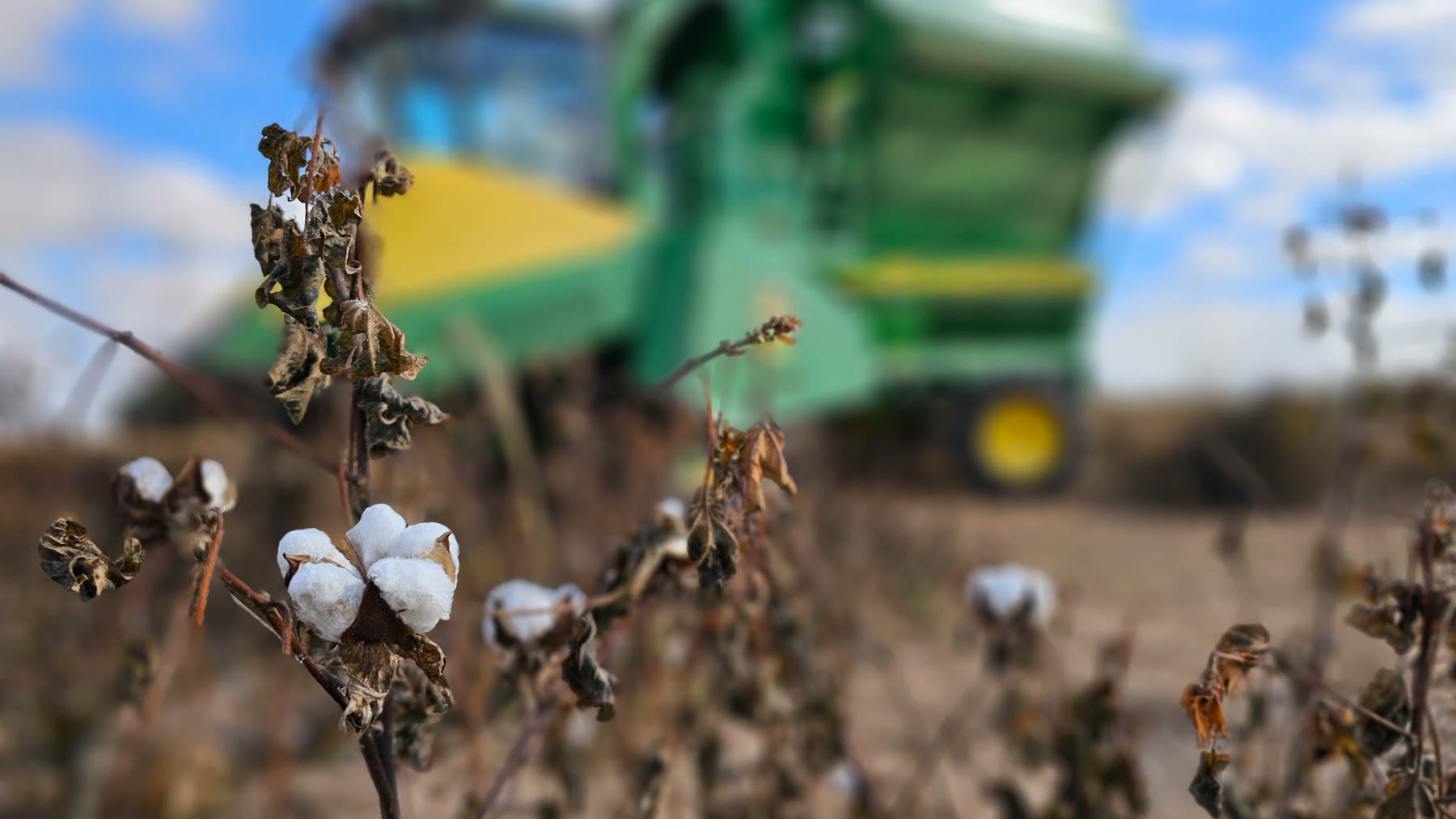 swfp-shelley-huguley-gaona-harvest-23-6.jpg swfp-shelley-huguley-gaona-harvest-23-6.jpg
