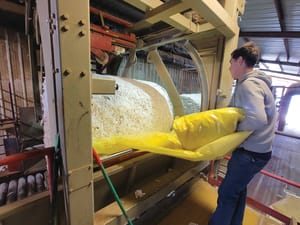 gin-round-bales-removing-plastic gin-round-bales-removing-plastic