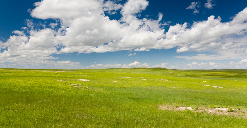 Prairie with blue skies and coulds