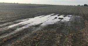 large puddle in a crop field