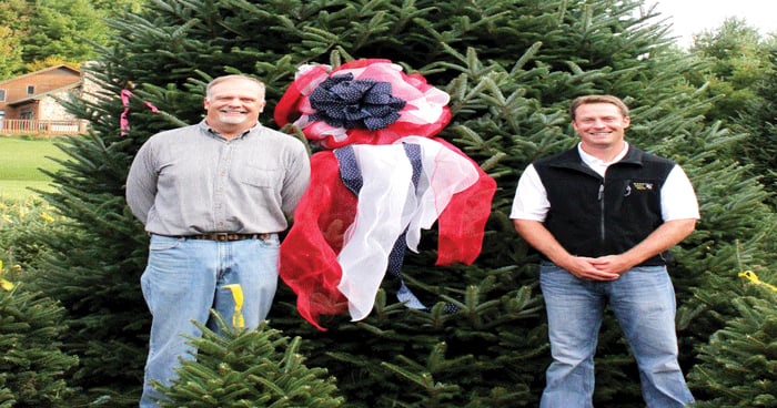 Award winning North Carolina Christmas tree in the White House