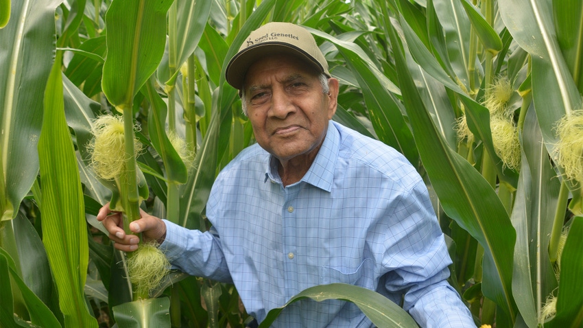 Dave Nanda stands in a corn field