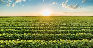 Feature-Image_Dicamba-Training-Article-for-FP_Bayer_1540x800.jpg