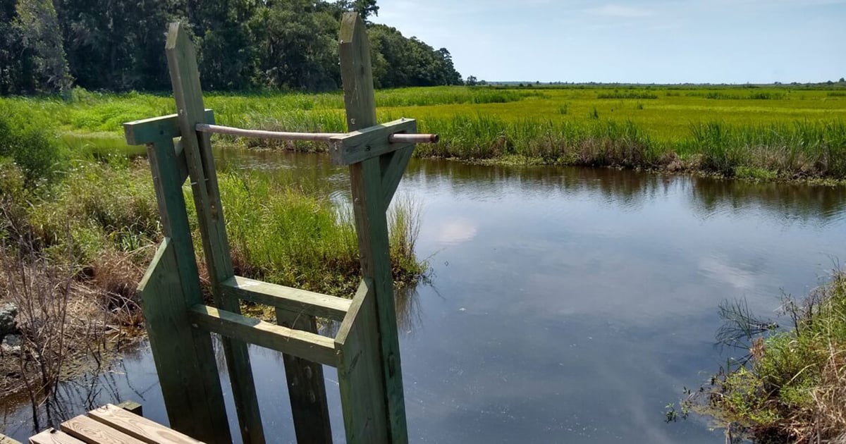 Studying climate-resilient rice production