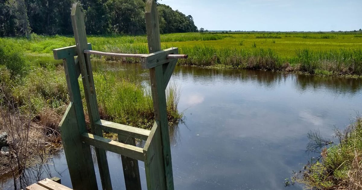 Kinlock Rice Trunk Studying climate-resilient rice production