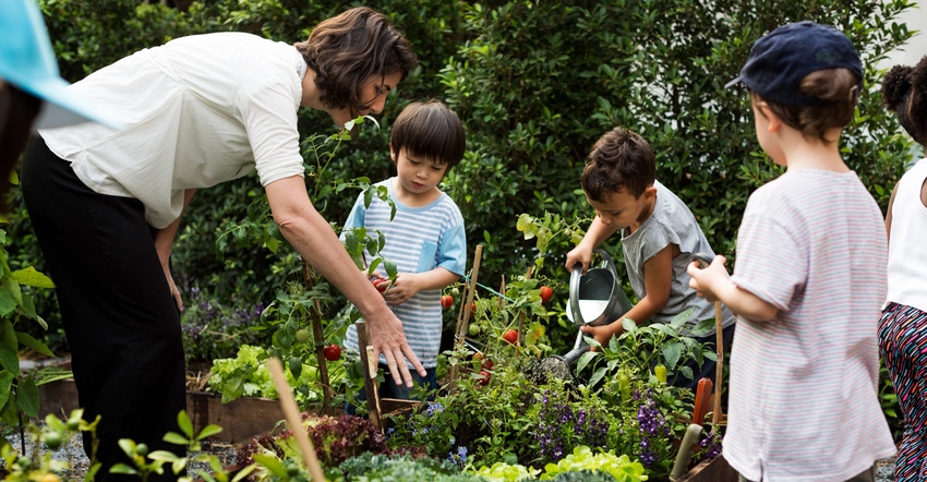 A teacher and school kids planting a garden A teacher and school kids planting a garden