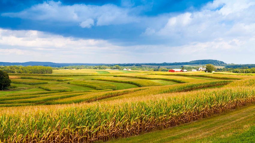 Farm fields