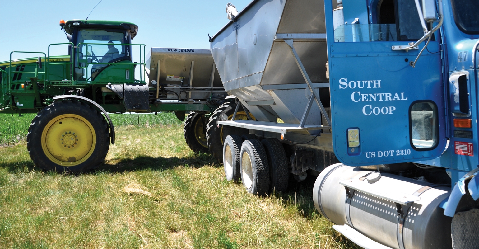 Green stems appear in soybeans again