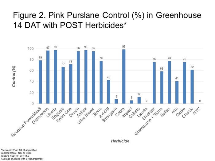 Pink purslane greenhouse herbicide data