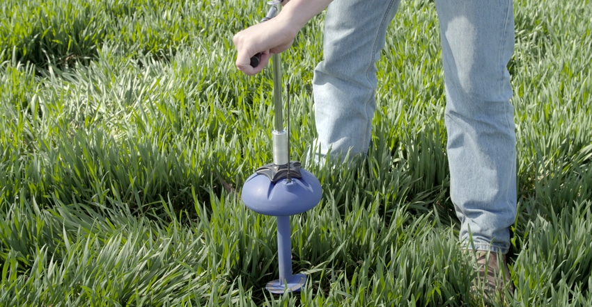 sensor being installed in soil sensor being installed in soil
