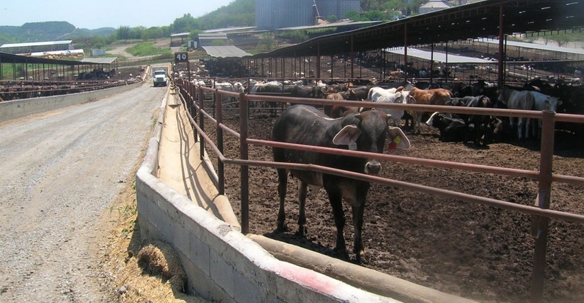 feedbunk feedbunk