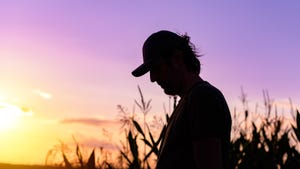 Silhouette of farmer in corn field at sunset