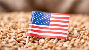American flag and wheat grains