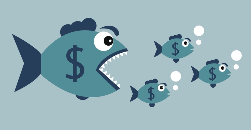 Big fish little fish money Istock827387618.jpg