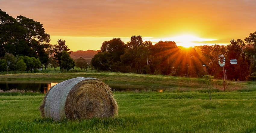 Bales of hay with tress and sun setting in the background