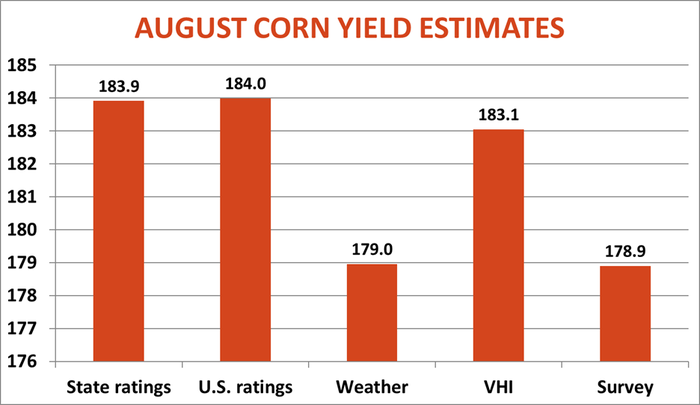 August Corn Yield Estimates