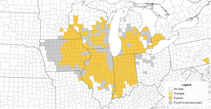 corn tar spot map
