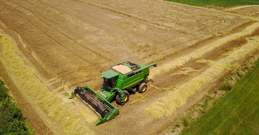 combining harvest field of barley