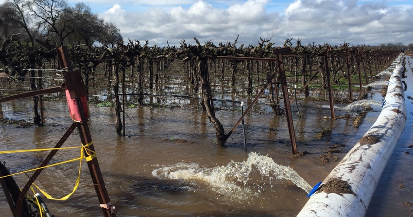 WFP-UC-flooded-fields.jpg WFP-UC-flooded-fields.jpg