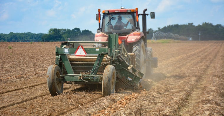 A two-row potato digger harvests thousands of russet potatoes 