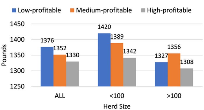 Mature cow weights by profit groups and herd size table
